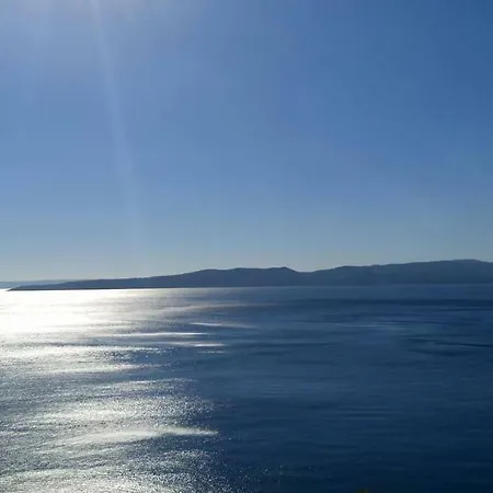 Orada